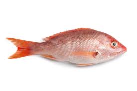 kosherfish